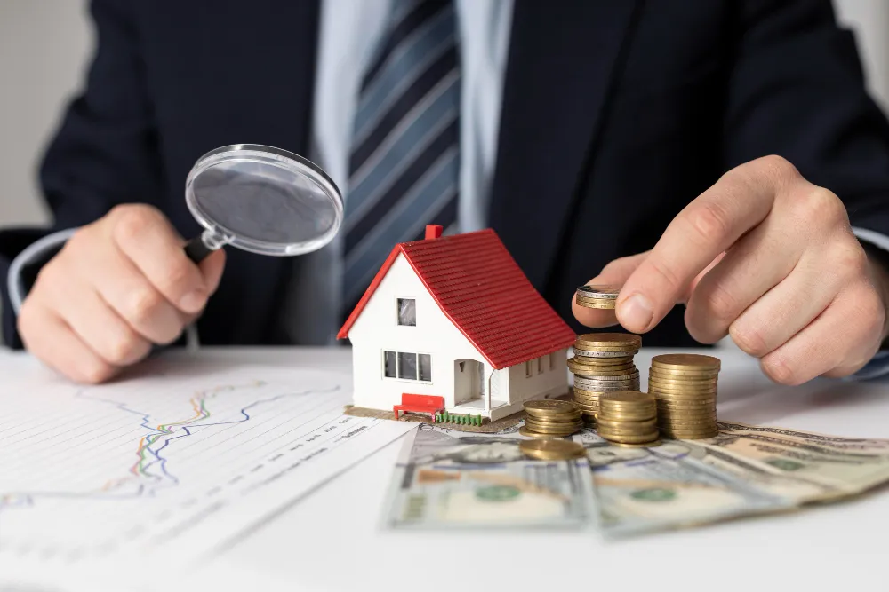 Fixed Asset